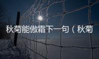 秋菊能傲霜下一句（秋菊能傲霜）