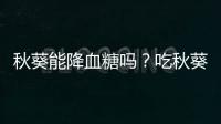 秋葵能降血糖嗎？吃秋葵能治療糖尿病嗎？