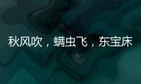 秋風(fēng)吹，螨蟲飛，東寶床墊讓你免受螨蟲干擾