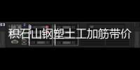 積石山鋼塑土工加筋帶價格
