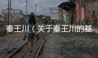 秦王川（關(guān)于秦王川的基本情況說明介紹）
