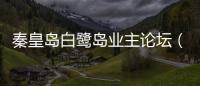 秦皇島白鷺島業主論壇（秦皇島白鷺島）