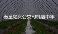 秦皇島女公交司機遭中年男乘客謾罵擊打 理智停車報警