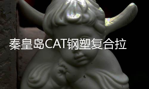 秦皇島CAT鋼塑復合拉筋帶性能說明