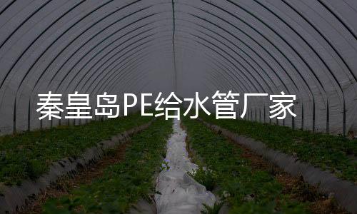 秦皇島PE給水管廠家