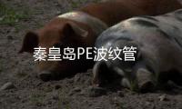 秦皇島PE波紋管