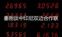 秦剛談中印尼雙邊合作聯委會第四次會議成果和共識
