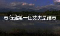 秦海璐第一任丈夫是誰秦海璐老公王新軍