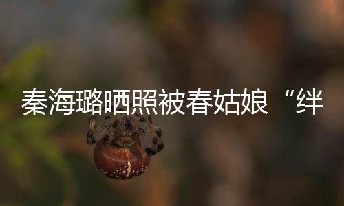 秦海璐曬照被春姑娘“絆倒” 網(wǎng)友：我們這就來扶