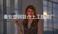 秦安塑鋼復(fù)合土工筋帶廠家