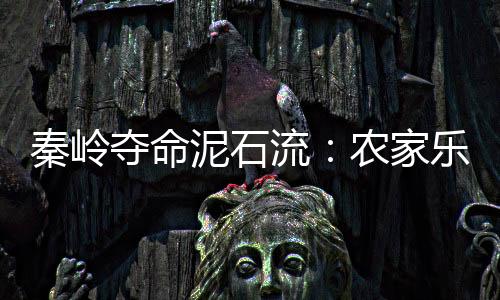 秦嶺奪命泥石流：農家樂正聚餐，死傷者不少為游客