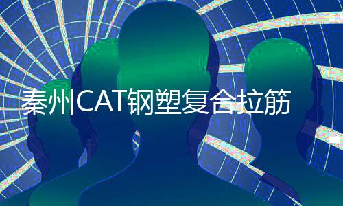 秦州CAT鋼塑復(fù)合拉筋帶施工方案