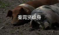 秦霄賢紋身