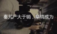 秦艽產大于銷，旱情成為影響行情關鍵！