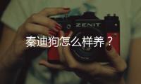 秦迪狗怎么樣養(yǎng)？