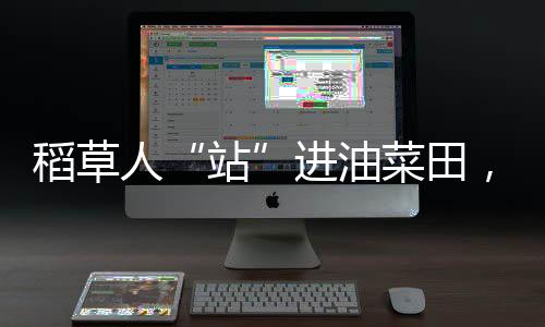 稻草人“站”進(jìn)油菜田，美麗鄉(xiāng)村建設(shè)如火如荼