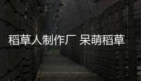 稻草人制作廠 呆萌稻草人生產工廠