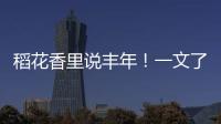 稻花香里說豐年！一文了解全國多地水稻收割情況