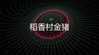 稻香村金豬