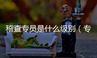 稽查專員是什么級別（專員是什么級別）