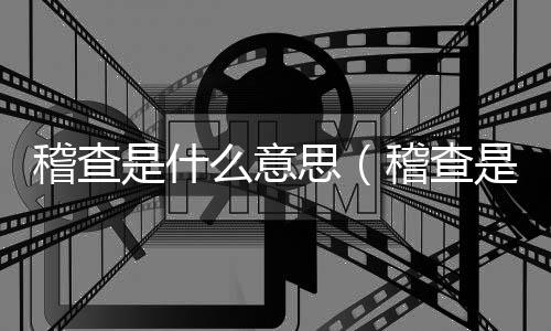 稽查是什么意思（稽查是什么意思）