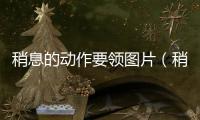 稍息的動(dòng)作要領(lǐng)圖片（稍息的動(dòng)作要領(lǐng)）