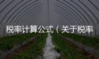 稅率計算公式（關于稅率計算公式的基本情況說明介紹）