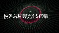 稅務(wù)總局曝光4.5億騙稅大案 主犯系河北人大代表