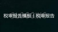 稅審報告模板（稅審報告）