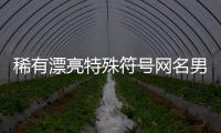 稀有漂亮特殊符號網(wǎng)名男生（稀有特殊超好看符號）