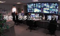 稀奇！很多沒(méi)見(jiàn)過(guò)！海寧八旬老人一連捐出八箱“寶貝”~