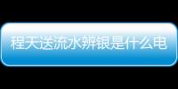 程天送流水辨銀是什么電視劇