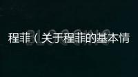 程菲（關(guān)于程菲的基本情況說明介紹）