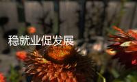 穩就業促發展 春風行動一季度發布崗位3800萬個