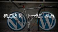 稠油熱采：下一站，蒸汽驅？