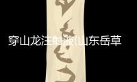 穿山龍注射液(山東岳草堂藥業)詳細說明書注意事項不良反應用法用量