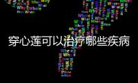 穿心蓮可以治療哪些疾病？“性味歸經”是什么意思？