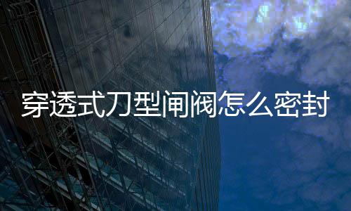 穿透式刀型閘閥怎么密封