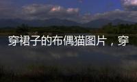 穿裙子的布偶貓圖片，穿裙子的貓咪簡筆畫
