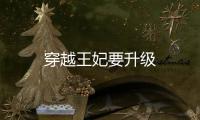 穿越王妃要升級