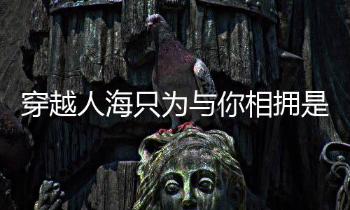 穿越人海只為與你相擁是什么歌
