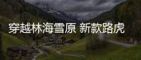 穿越林海雪原 新款路虎攬勝極光冰雪體驗