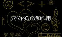 穴位的功效和作用