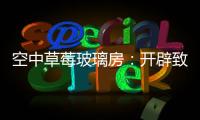 空中草莓玻璃房：開辟致富新途徑,經(jīng)驗(yàn)交流
