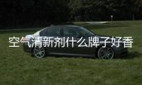 空氣清新劑什么牌子好香味持久（空氣清香劑）