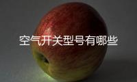 空氣開關(guān)型號有哪些