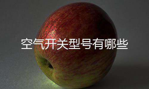 空氣開關型號有哪些