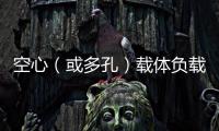 空心（或多孔）載體負載單原子（超高密度）催化劑！
