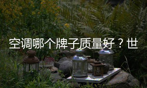 空調哪個牌子質量好？世界公認最好的四大空調
