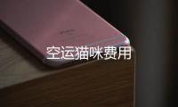 空運貓咪費用